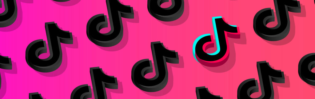 Gestione campagne TikTok Ads